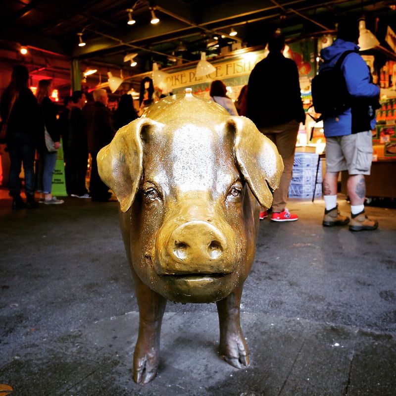 Rachel the Piggy Bank