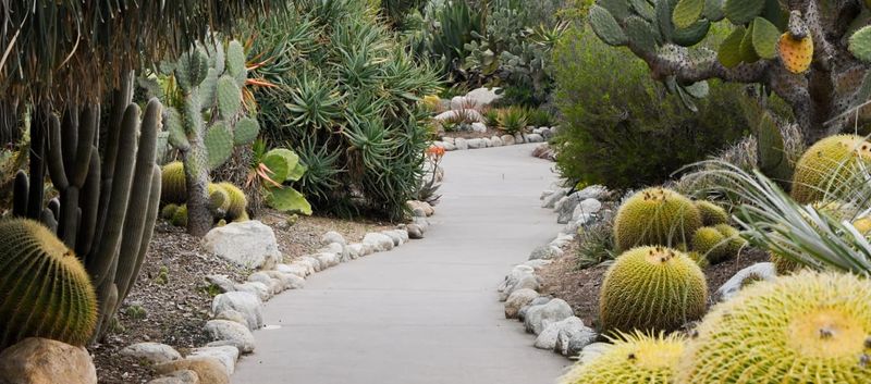 A Global Collection in a Local Landscape