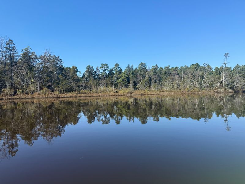 The Myth of the Jersey Devil: Folklore as a Warning System