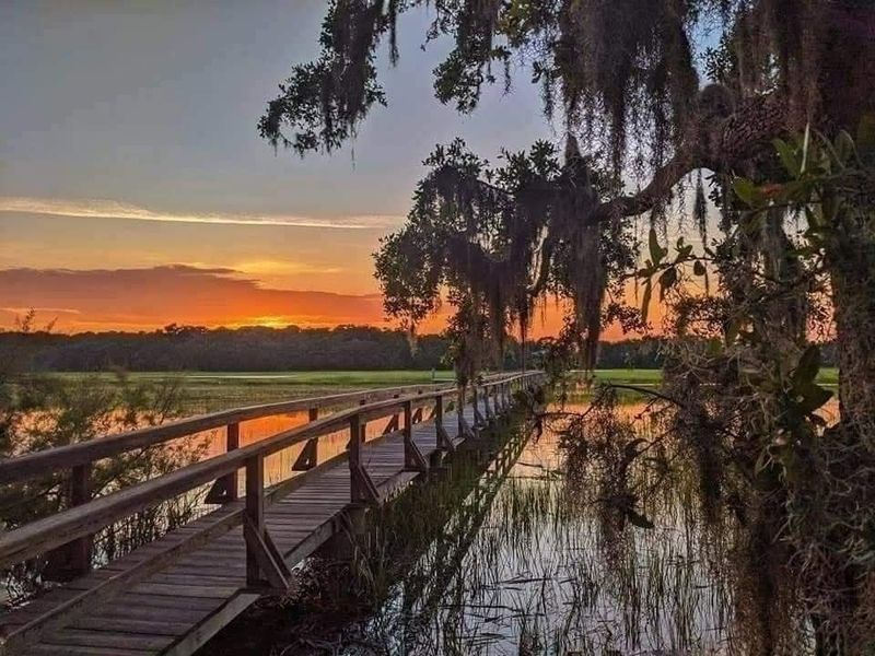 The Lowcountry Landscape