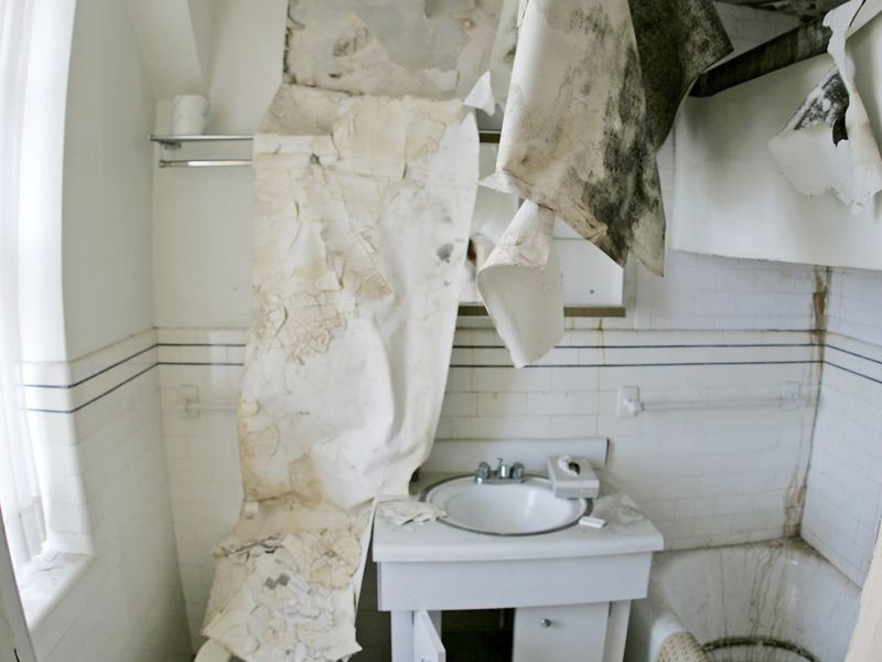 Decay and Water Damage