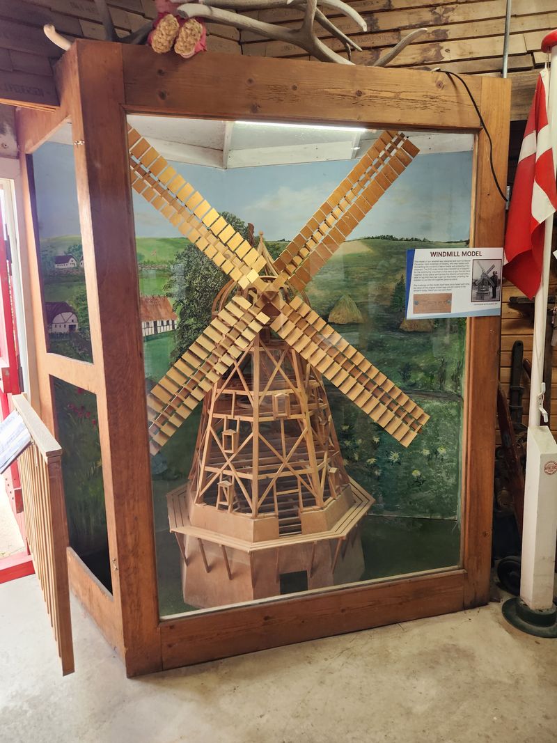 The Danish Flag (Dannebrog) Everywhere