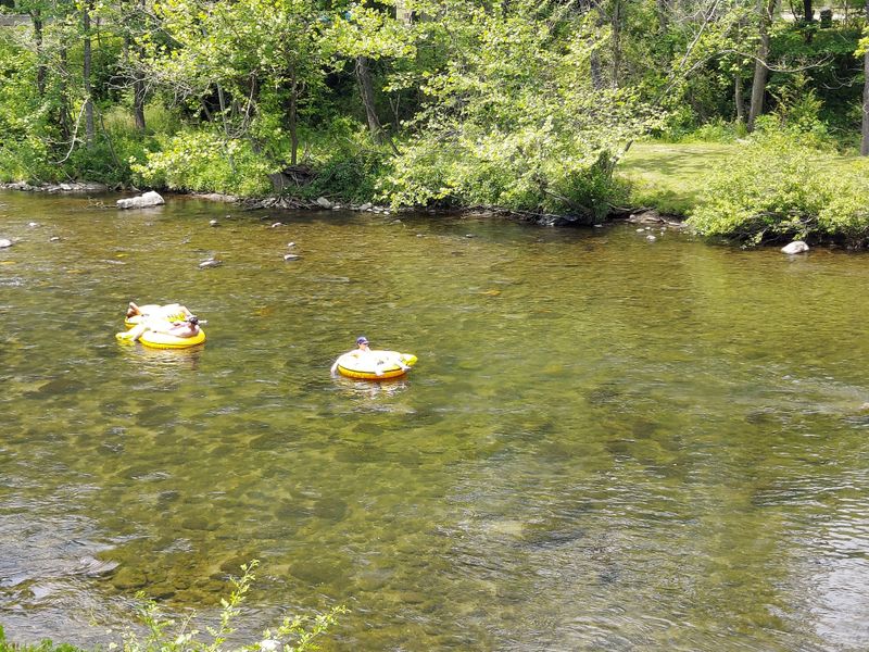 A Gateway Without the Noise