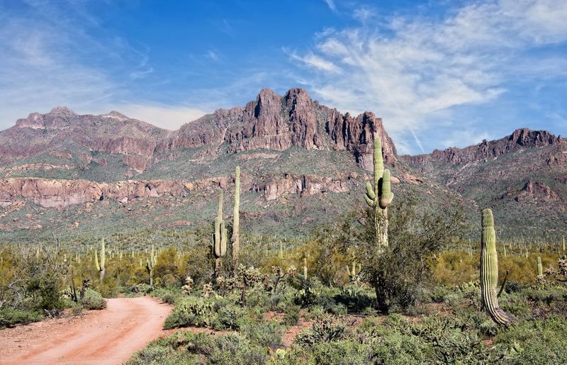 Practical Gateway: Lost Dutchman State Park Trailheads