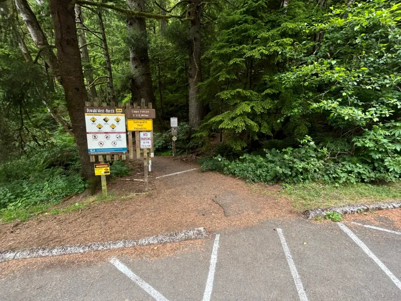 Overflow That Overwhelms