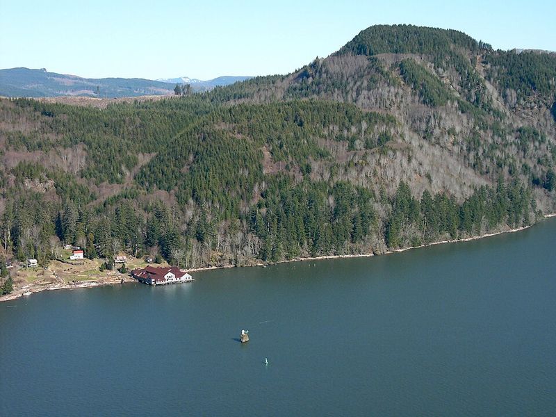 A Forgotten Piece of the Northwest’s Salmon History