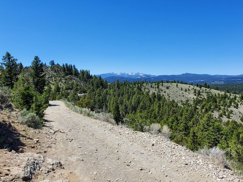 The Road That Leads Back