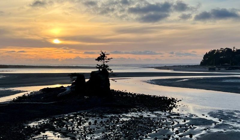 Nighttime Beach Walks and Strange Encounters