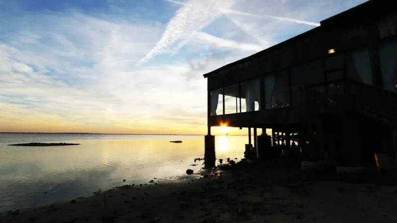 Rusty Pelican Tampa (Rocky Point)