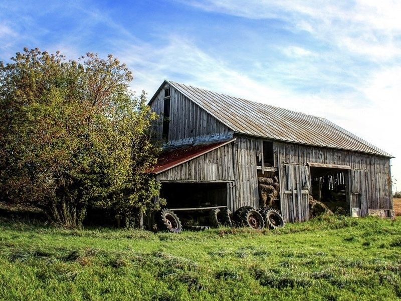 How Locals Celebrate the Change of Seasons Together