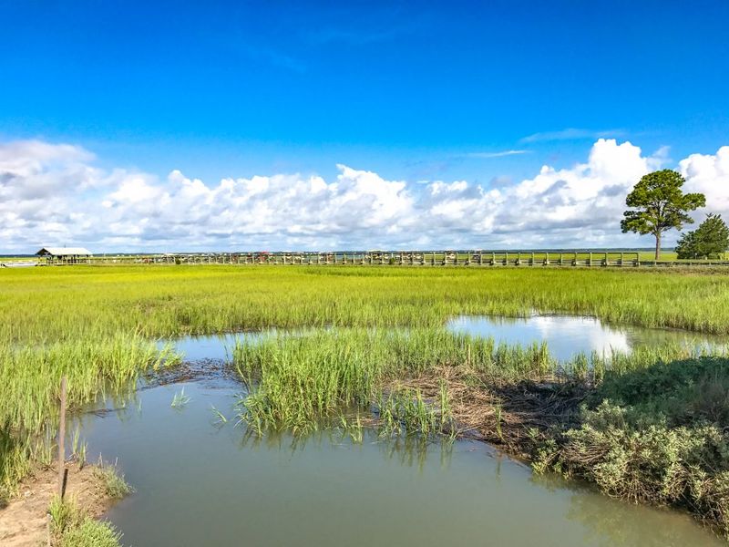 The Natural History of the Ecosystem