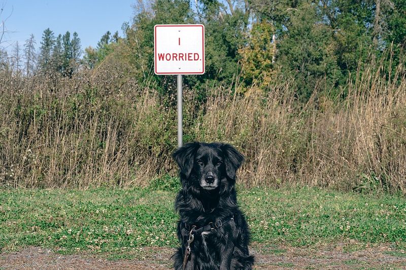 A Calendar of Calm: Simple, Local Holiday Events