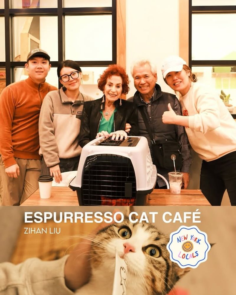 Espurresso Cat Café – Queens