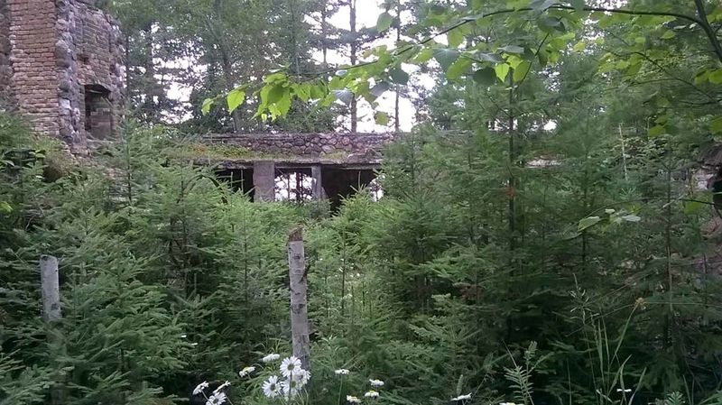 The Discovery of Human Remains