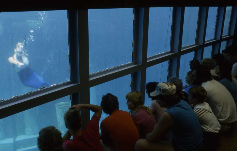 The Lost Underwater Theater