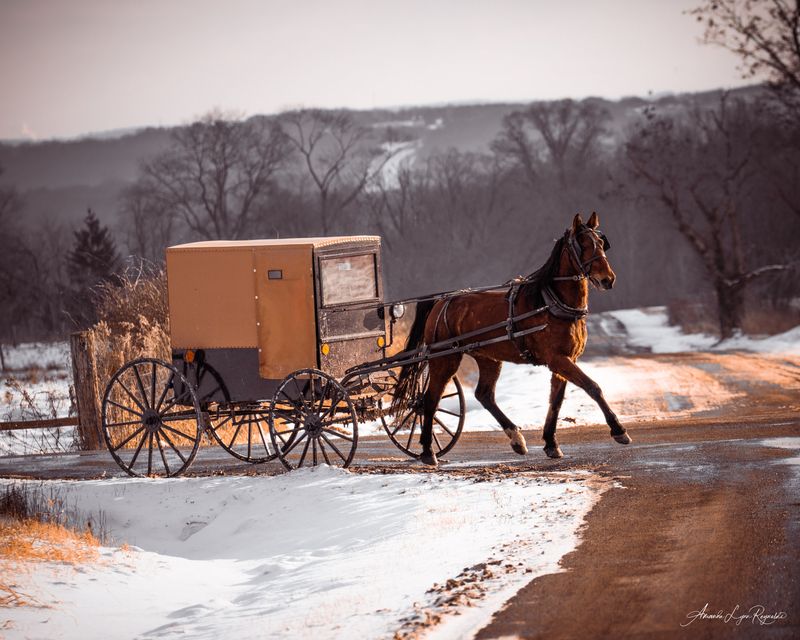 Taking Pictures of Faces