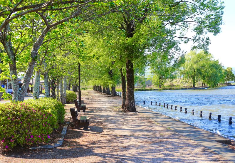 Walkable, Tree-Lined Streets