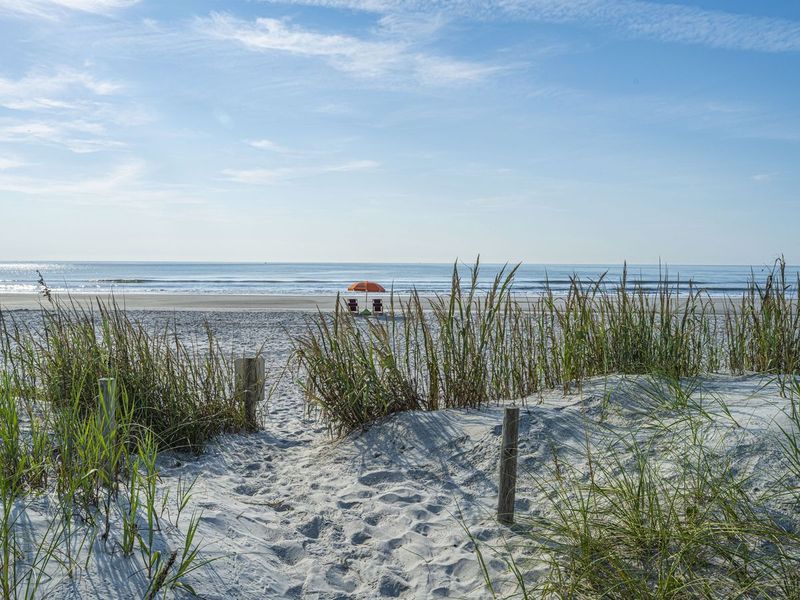 Why People Say They Hear the Ocean Rooms