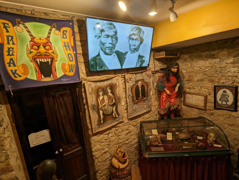 Rooms Filled With Curiosities That Spark Endless Questions