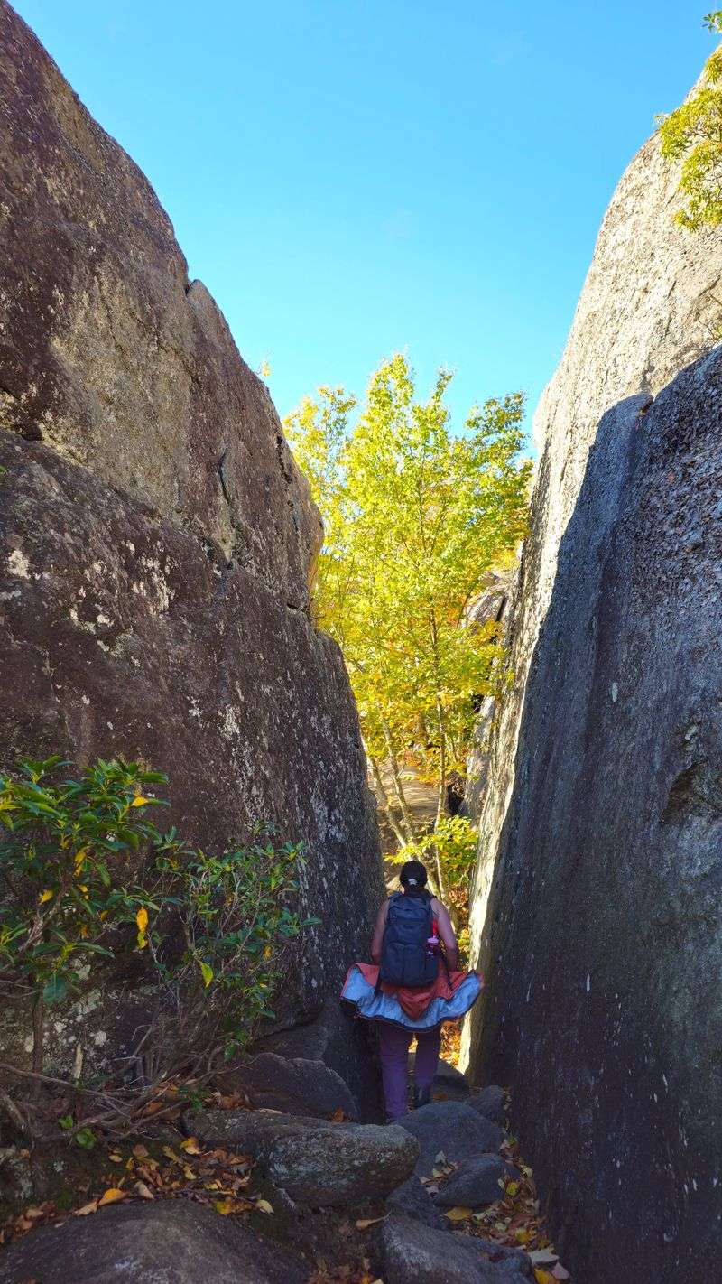 Physical Challenge Levels the Playing Field