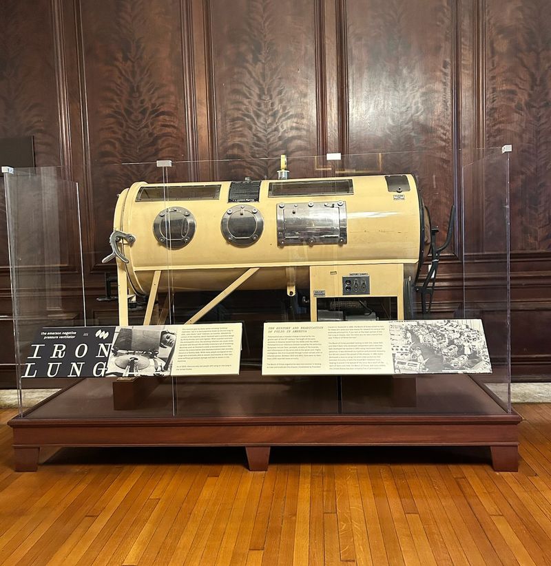 Why the Museum Continues to Attract Curious Visitors