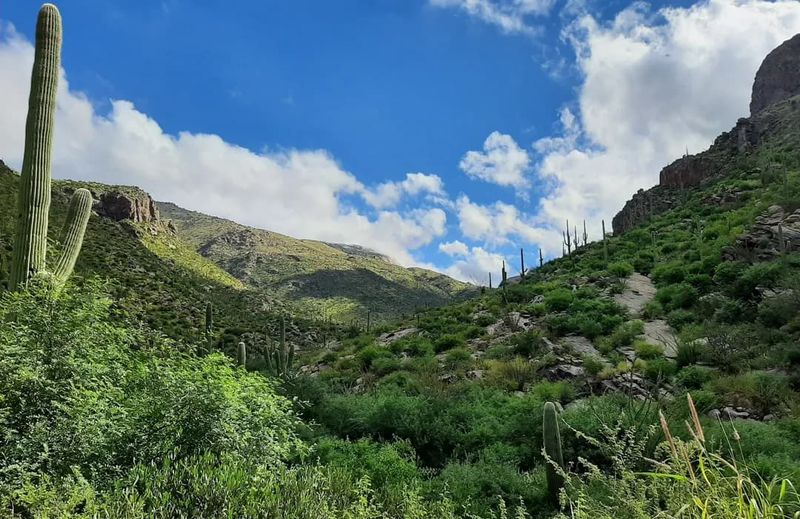 The Oracle Ridge Crags (Near Oracle)