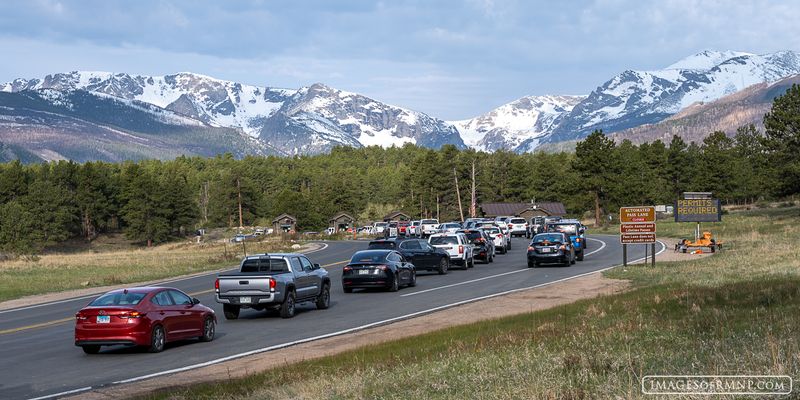 When Beauty Draws Too Many Eyes