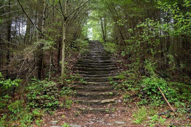 Elkmont's Artistic Allure