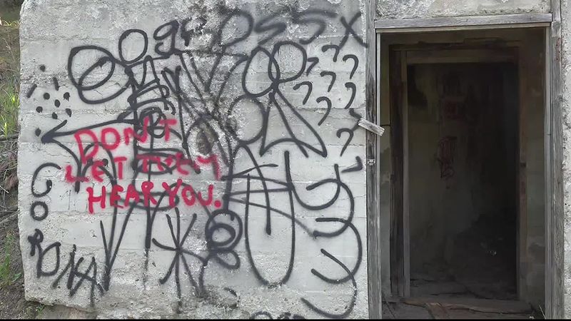 Vandalism and Graffiti