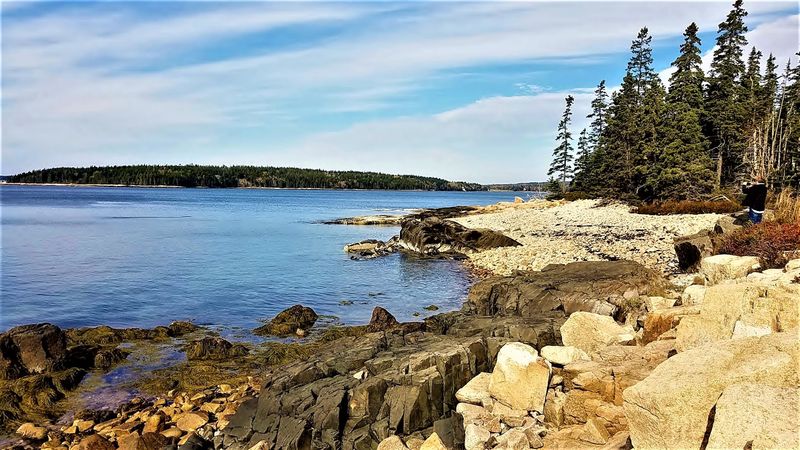 Schoodic Point: The Winter Roar of the Atlantic