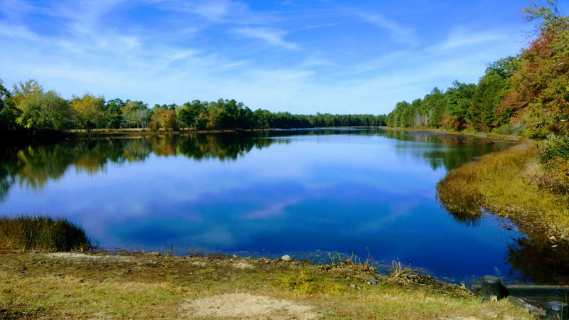 The Reward of the Lost Road: What GPS Cannot Show You