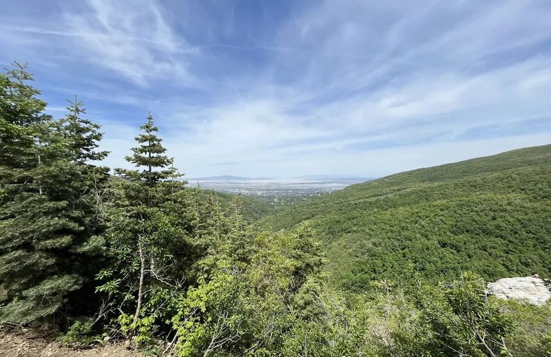 Foothills That Rise Almost From the Back Door