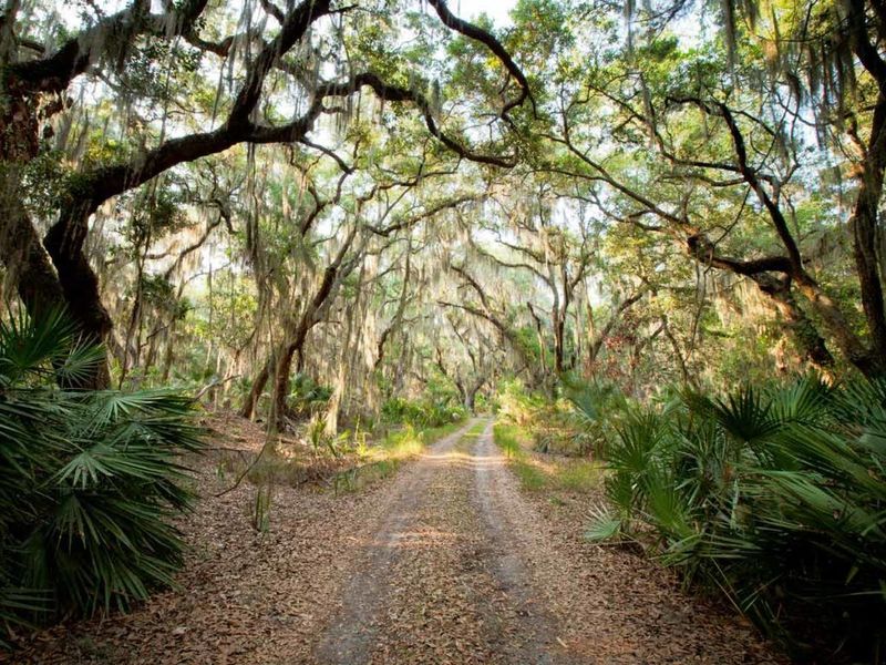 When the Jungle Reclaimed Paradise