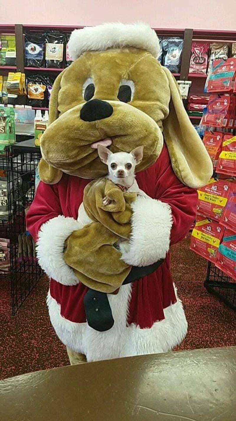 The Entire Town Dresses in Period Costume