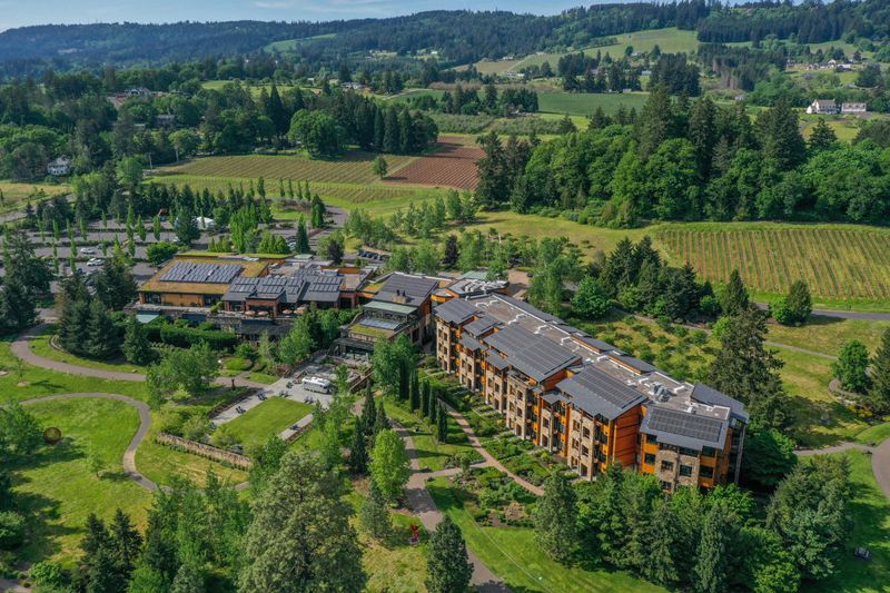 Why Travelers Keep Returning Each Autumn