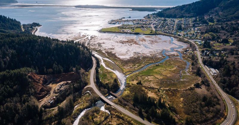 Complete Eradication Left Only Ghosts Behind