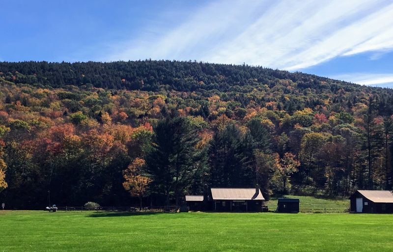Rolling Hillside Backdrop