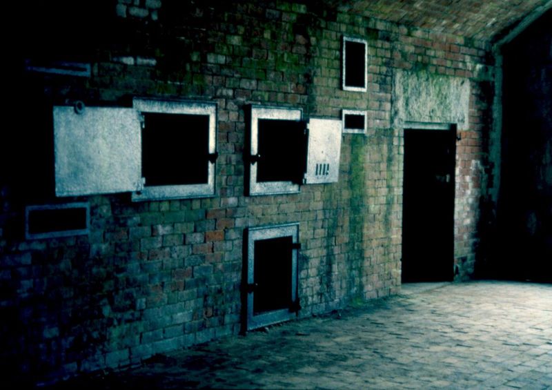 The Little Girl in the Shadows