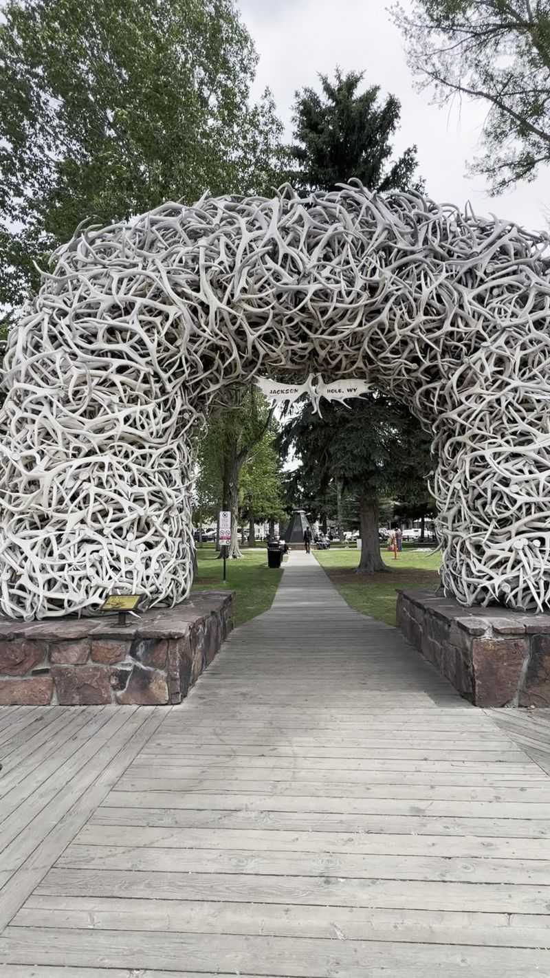 The Iconic Town Square and Antler Arches