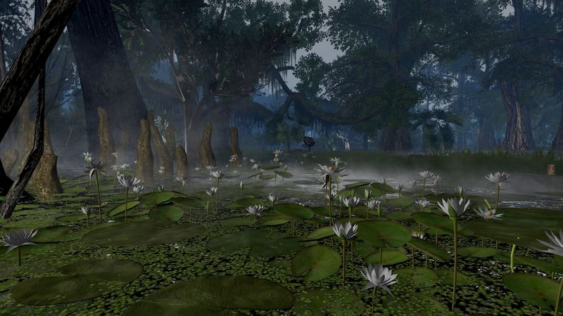 The foundational story