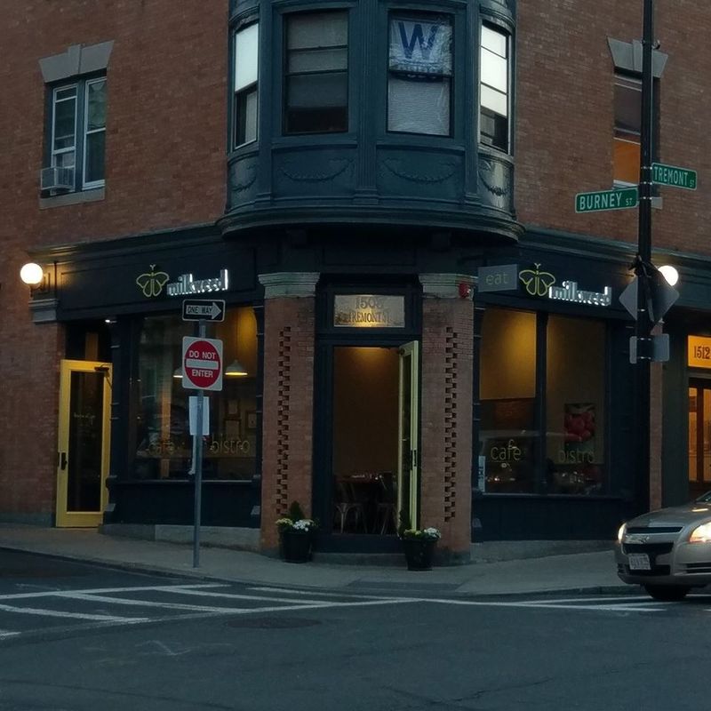 Milkweed (Boston – Mission Hill)