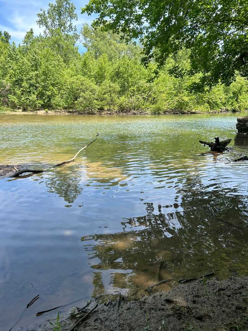 A Hill Country Town Surrounded by Ozark Calm