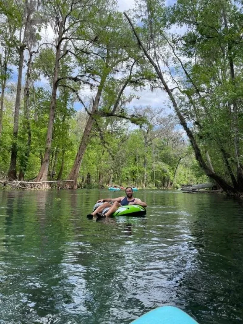 Ichetucknee Springs (North Florida)
