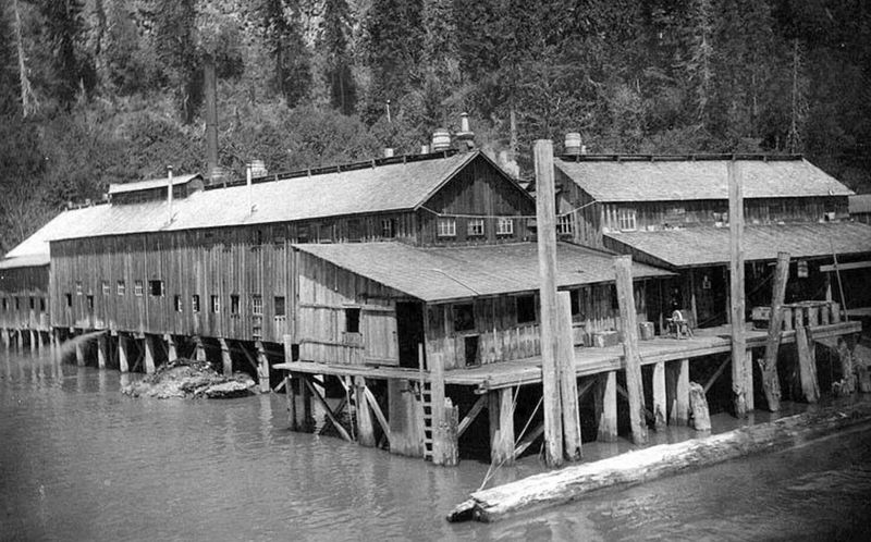 A Structure Designed for a Life on the Water