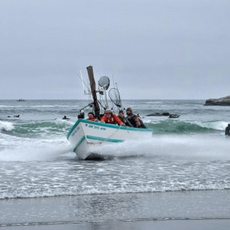 Dory Boats Riding Waves Like Surfers