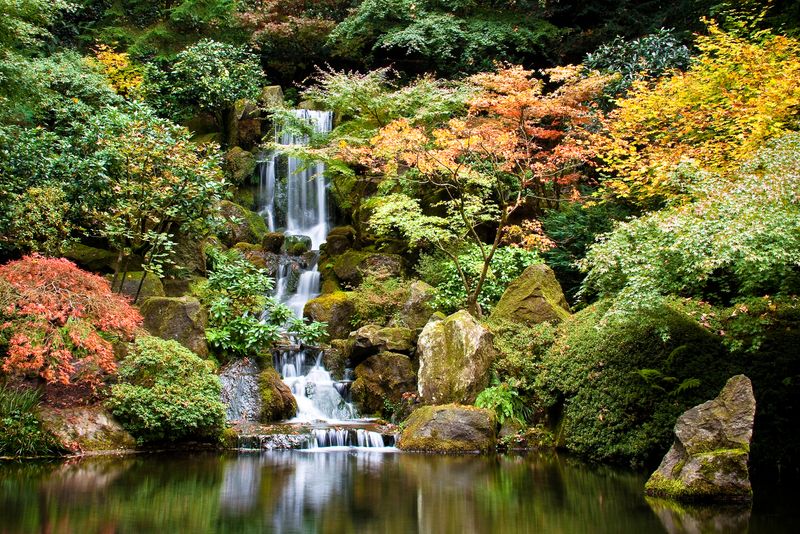 Portland Japanese Garden in Washington Park