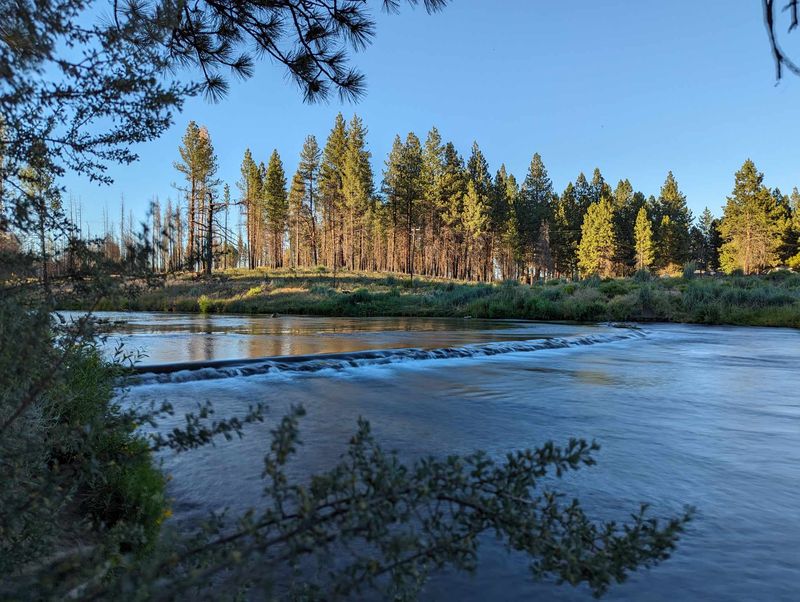 Collier Memorial State Park (Chiloquin)