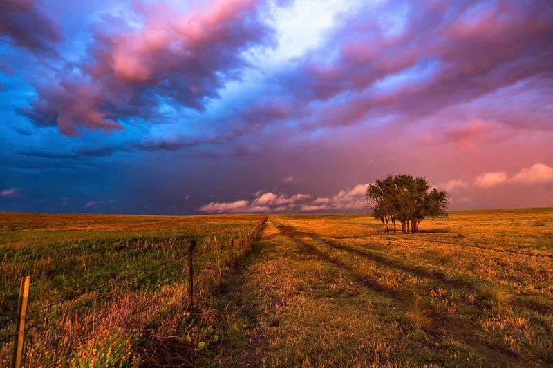 Why Awareness Protects Both Land and Traveler