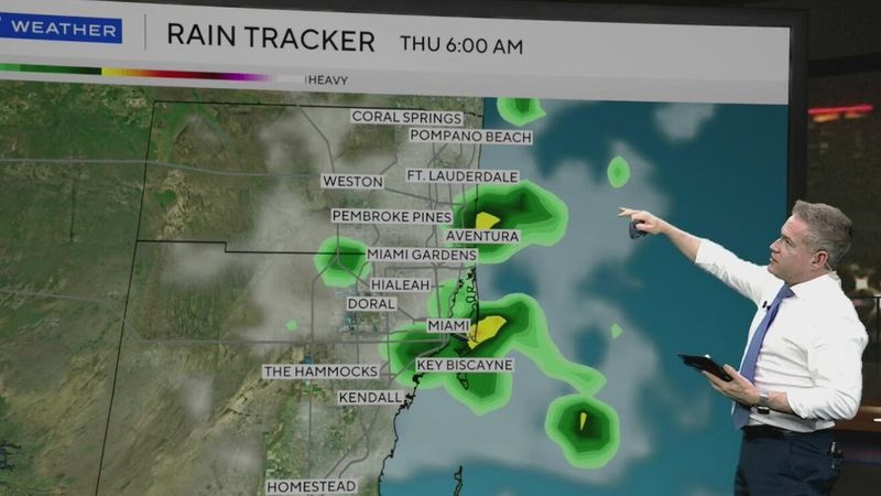 Fun Ways to Watch Melissa From Afar