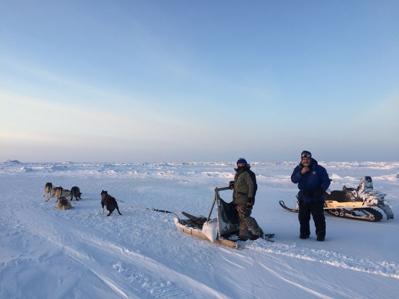 Dog Sledding and Travel Traditions
